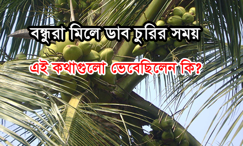 বন্ধুরা মিলে ডাব চুরির সময় এই কথাগুলো ভেবেছিলেন কি?