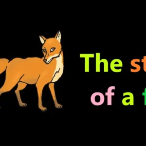 the fox a story