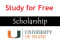 Study for Free at the University of Miami: Everything You Need to Know About the Stamps Scholarship