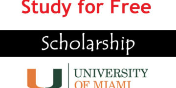 Study for Free at the University of Miami: Everything You Need to Know About the Stamps Scholarship