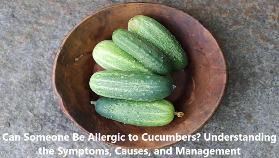 Can Someone Be Allergic to Cucumbers? Understanding the Symptoms, Causes, and Management