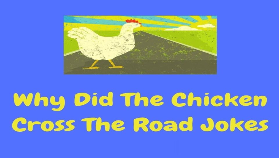 Why Did the Chicken Cross the Road? And 20 More Jokes That’ll Crack You Up
