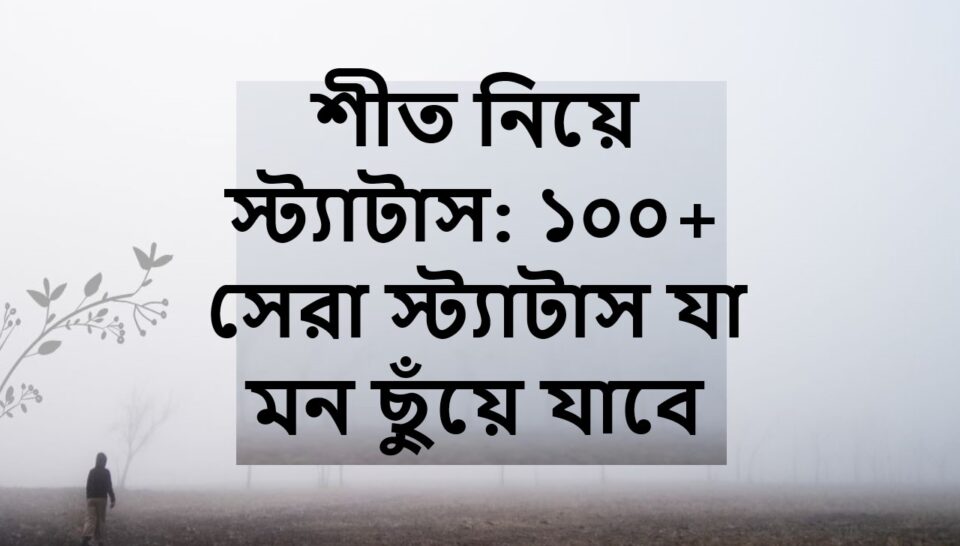 শীত নিয়ে স্ট্যাটাস: ১০০+ সেরা স্ট্যাটাস যা মন ছুঁয়ে যাবে